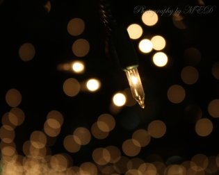 Bulb watermarked